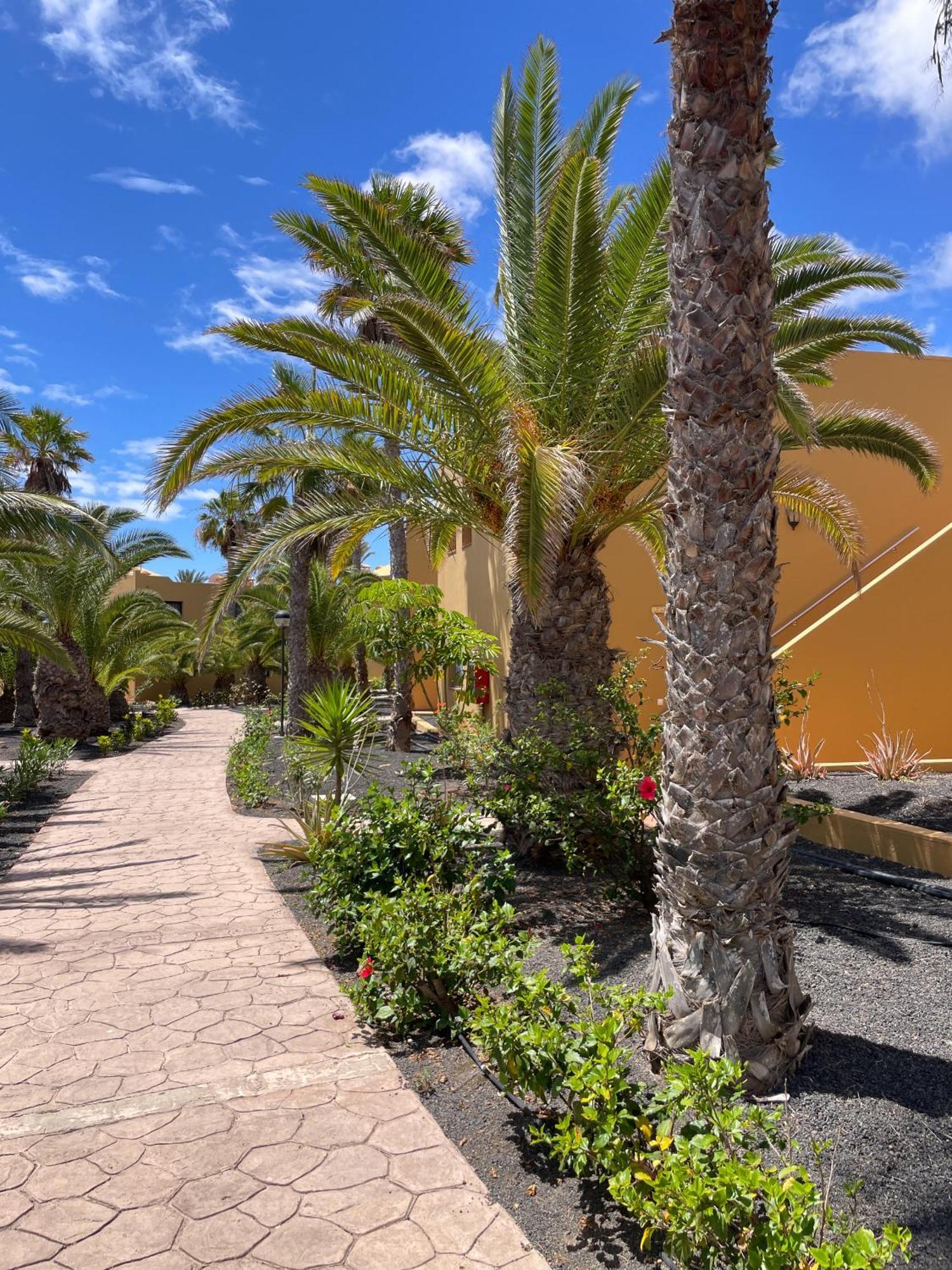 Апартаменты B-Rent Casa Angela Pool View Коральео Экстерьер фото